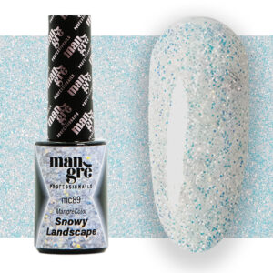 FlashColor – Snowy Landscape