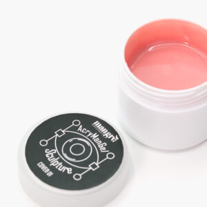 Sculpture AcryManGel – Cover 01